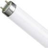Osram L18W/640 Лампа люминесцентная 18Вт-цоколь G13-цвет.теплый белый